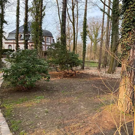 Appartement Seerose Brandis