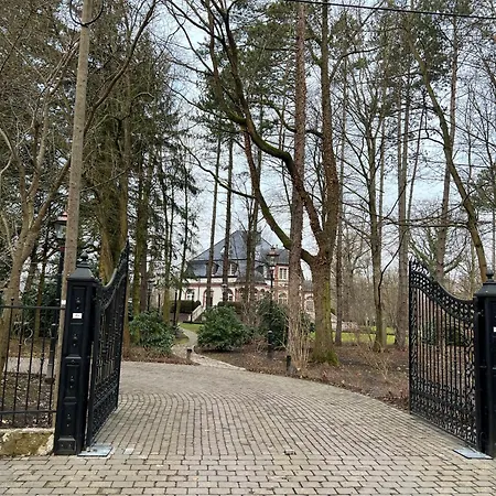 Seerose Appartement Brandis
